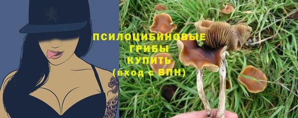 бошки Армянск